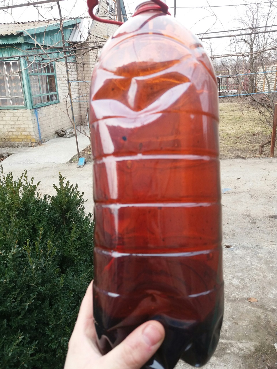 Олія в кпп Нубіра, 80w або 75w90 4