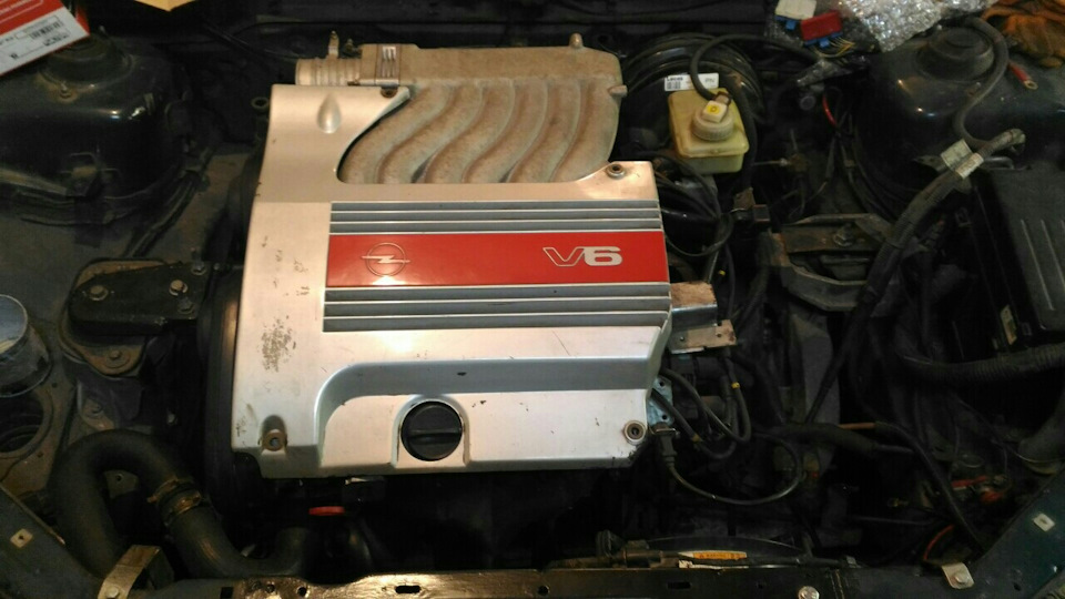 V6> Фініш 1