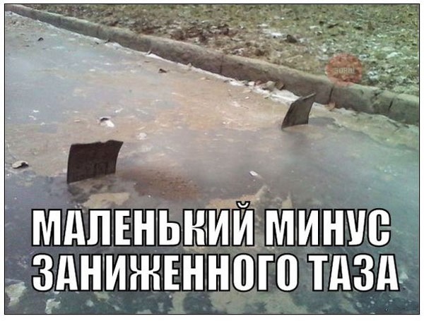 На пробу 1