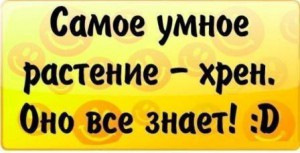 Видно-неа не видно.Щас буде видно! 1