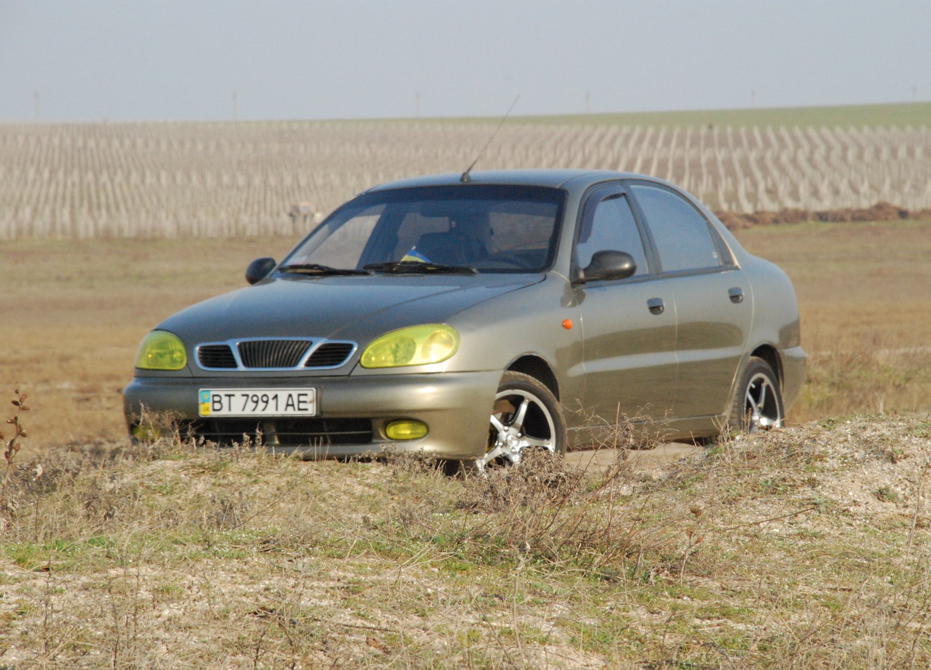 Пара цікавих фотографій. 2