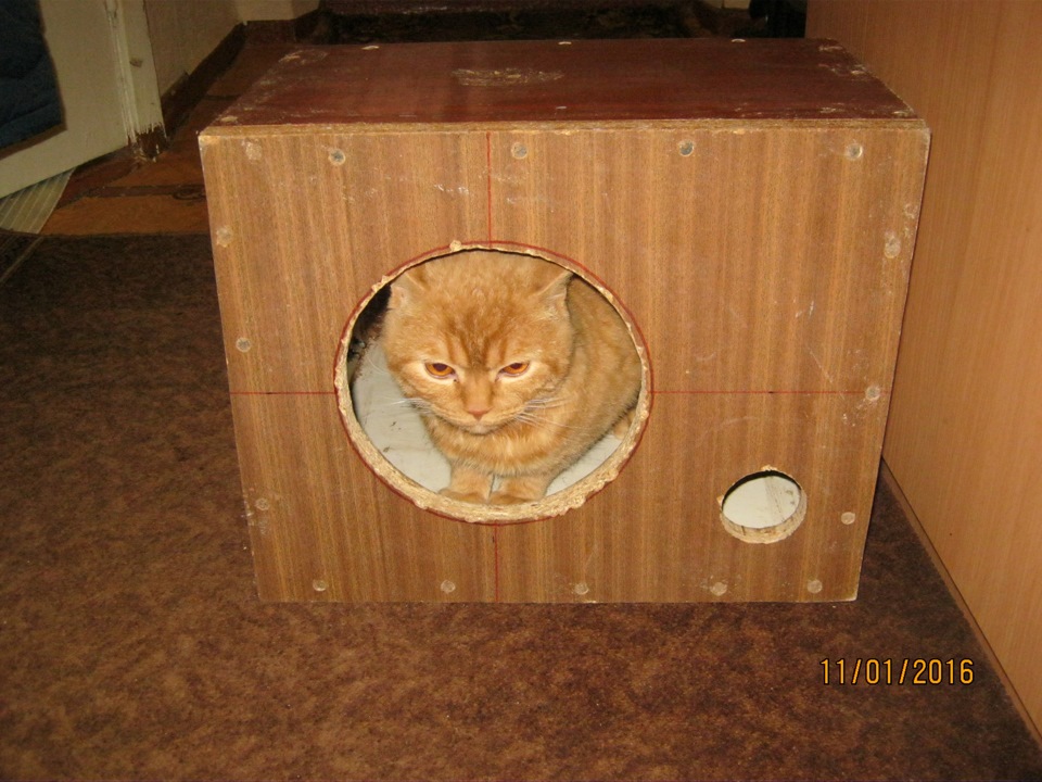Мій перший пробний сабик:) 2