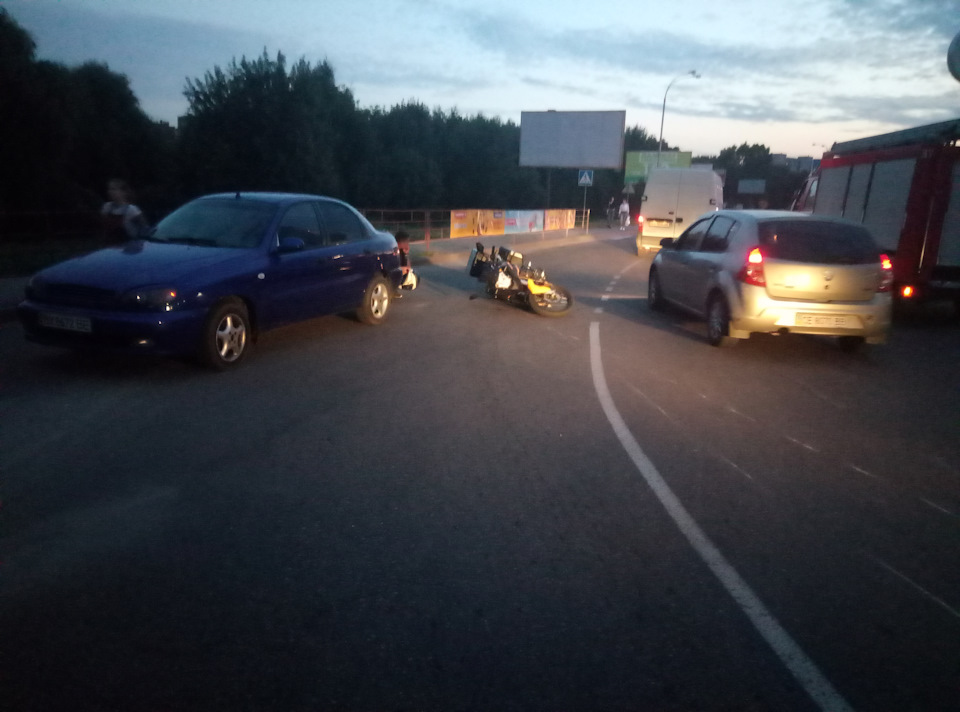 У світі тварин. ДТП 1