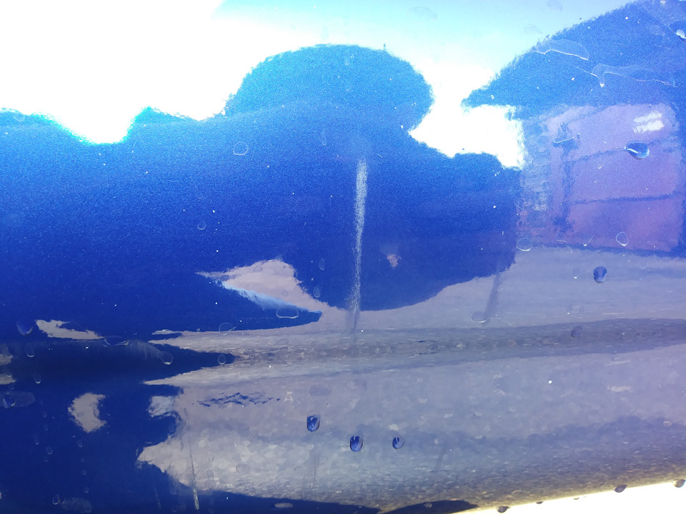 У світі тварин. ДТП 4