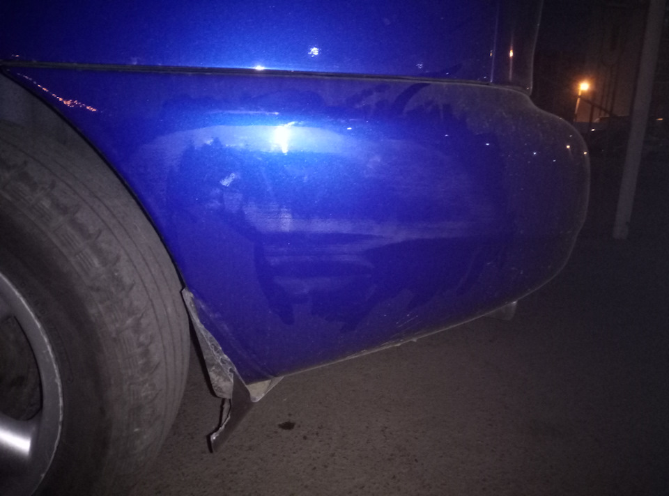 У світі тварин. ДТП 2