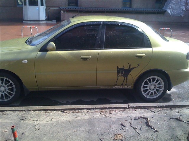 Собаки =) 2