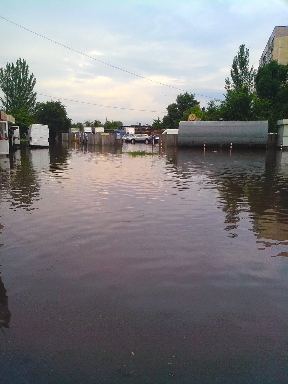 Водоплавні. 4