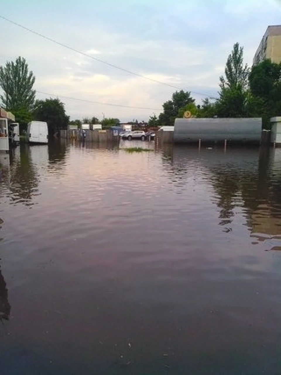 Водоплавні.