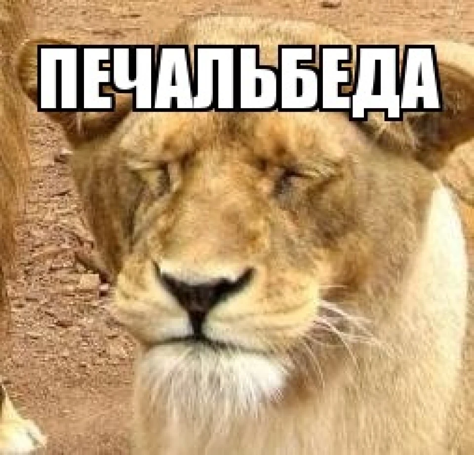 виття на 3-4 передачах при швидкості від 40 до 45 км/год на КПП ланос