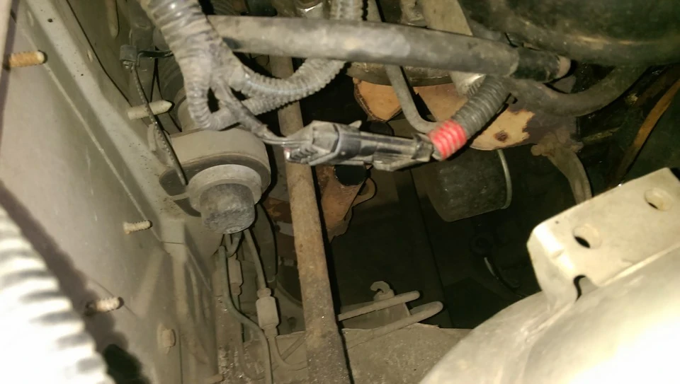 Порвані штани