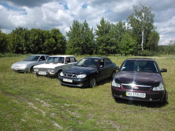 Місцеві покотушки 1