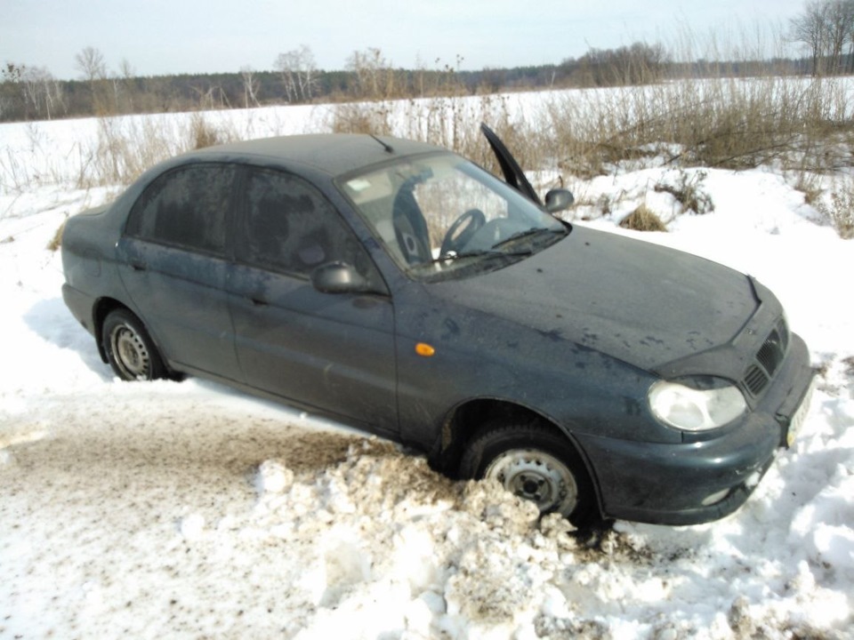 Покотушки 1