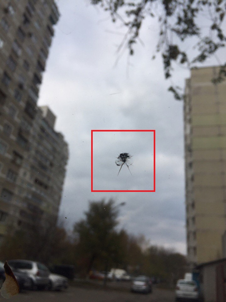 Ті самі питання щодо кузова і крейди 4