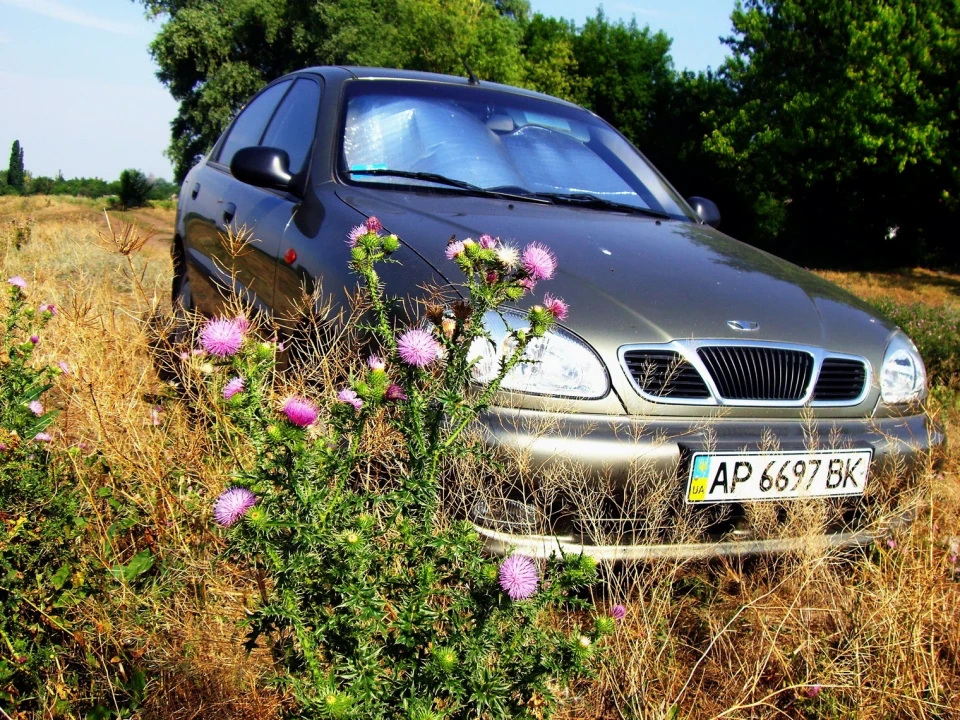 Запис, 17 квітня 2010