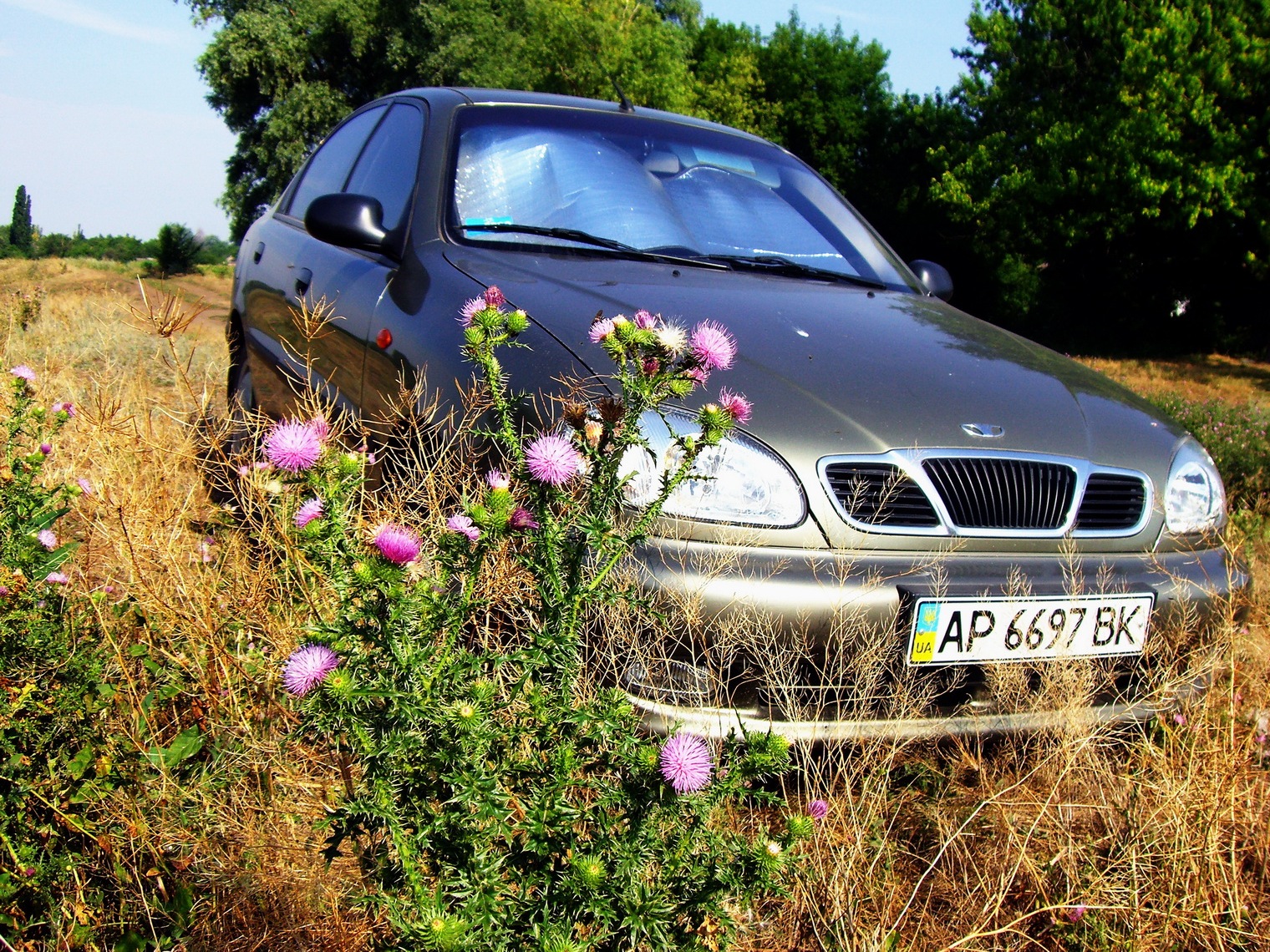 Запис, 17 квітня 2010 1