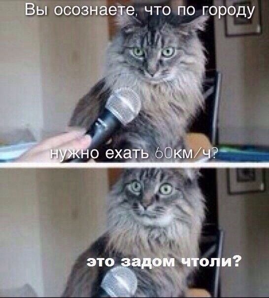 Не валить))) 1
