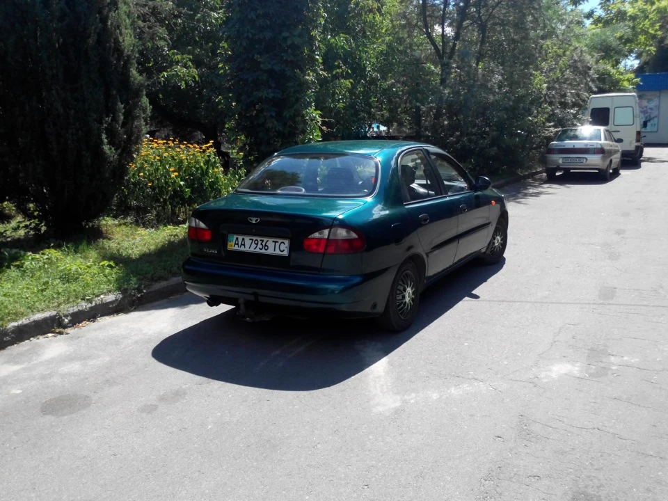 Фото ластівки!