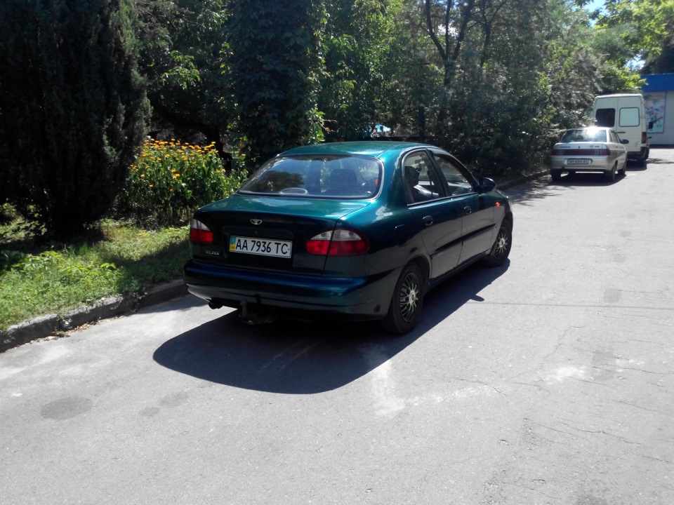 Фото ластівки! 1