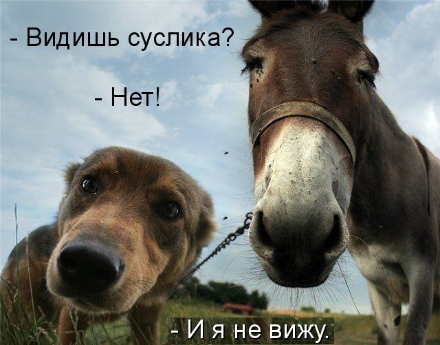 Поїздка до Одеси, заміна АКБ, ременя та ролика генератора, ДПКВ 20.11.2016 3