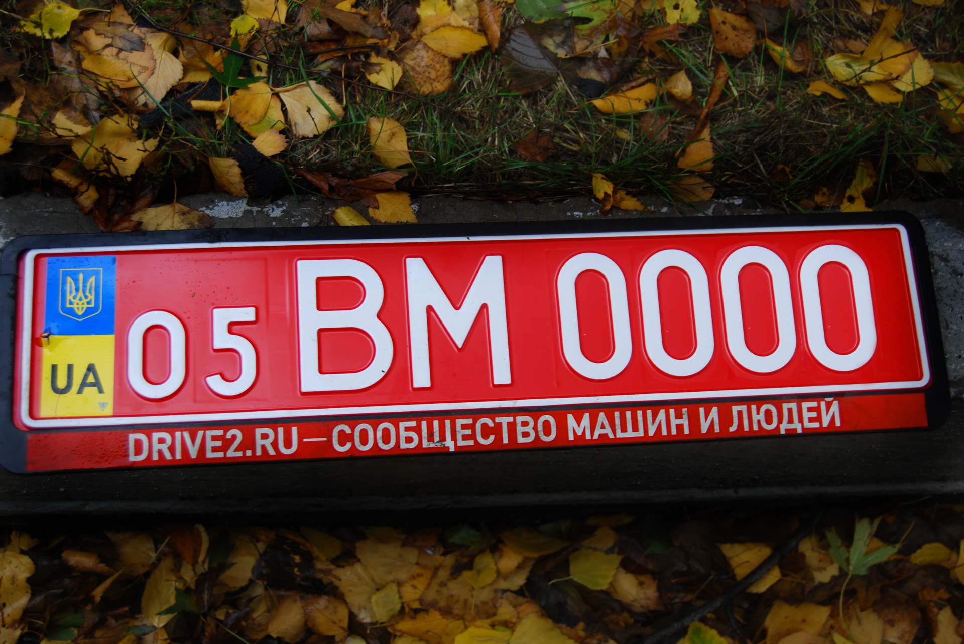 Червоні номери. 5