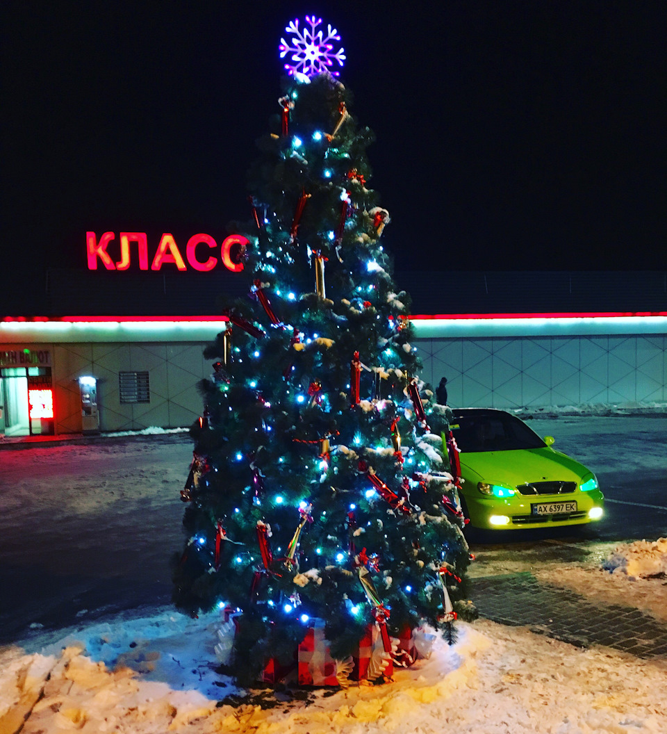 Під ялинкою 1