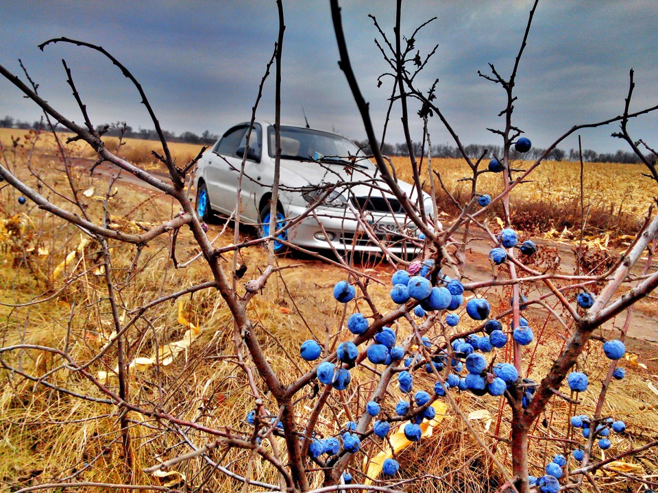 - Осінній фотосет. 5