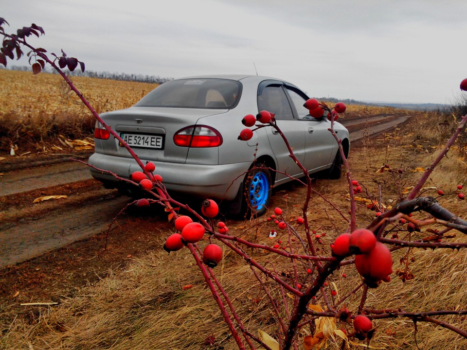 - Осінній фотосет. 4