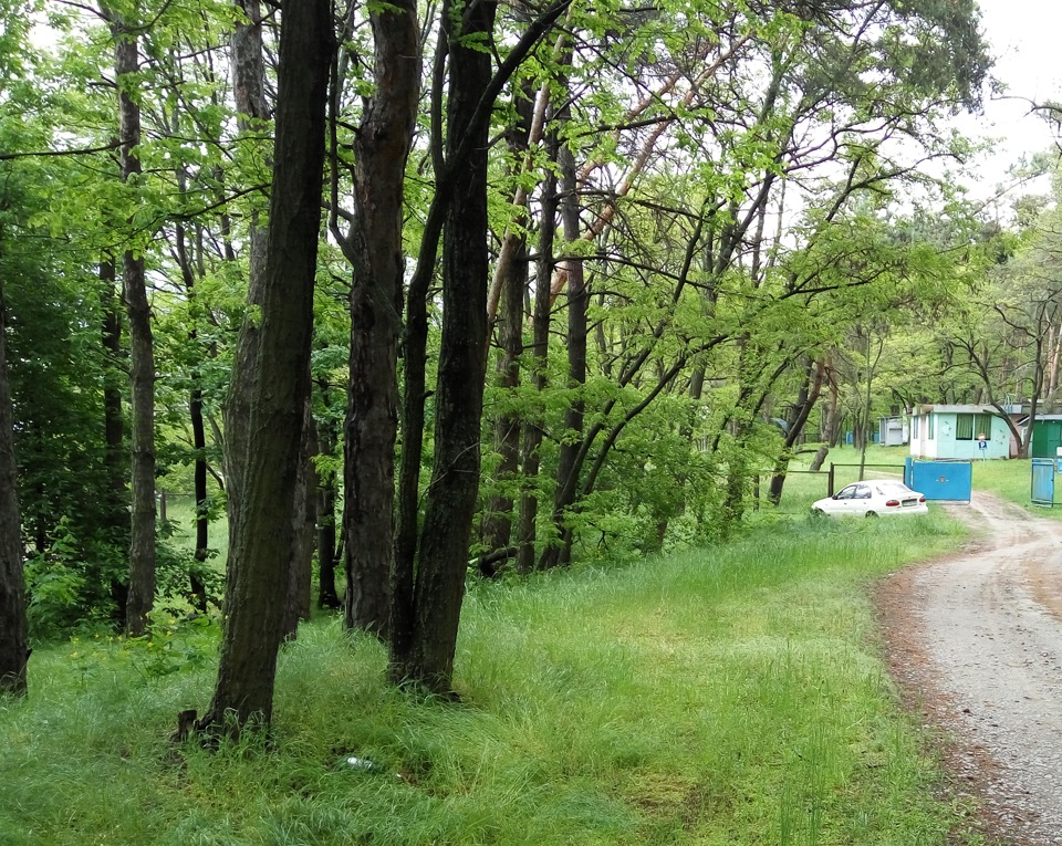 Все спокійно, трохи текучки 3