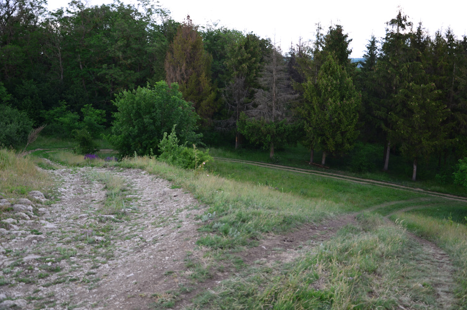 Пікнік та Offroad 1