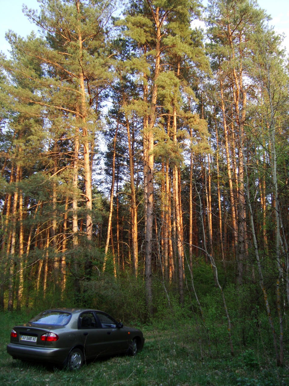 Прощаємось з нашим Містіком… 3