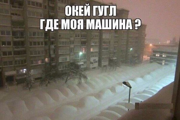 Сніг торішній? 1