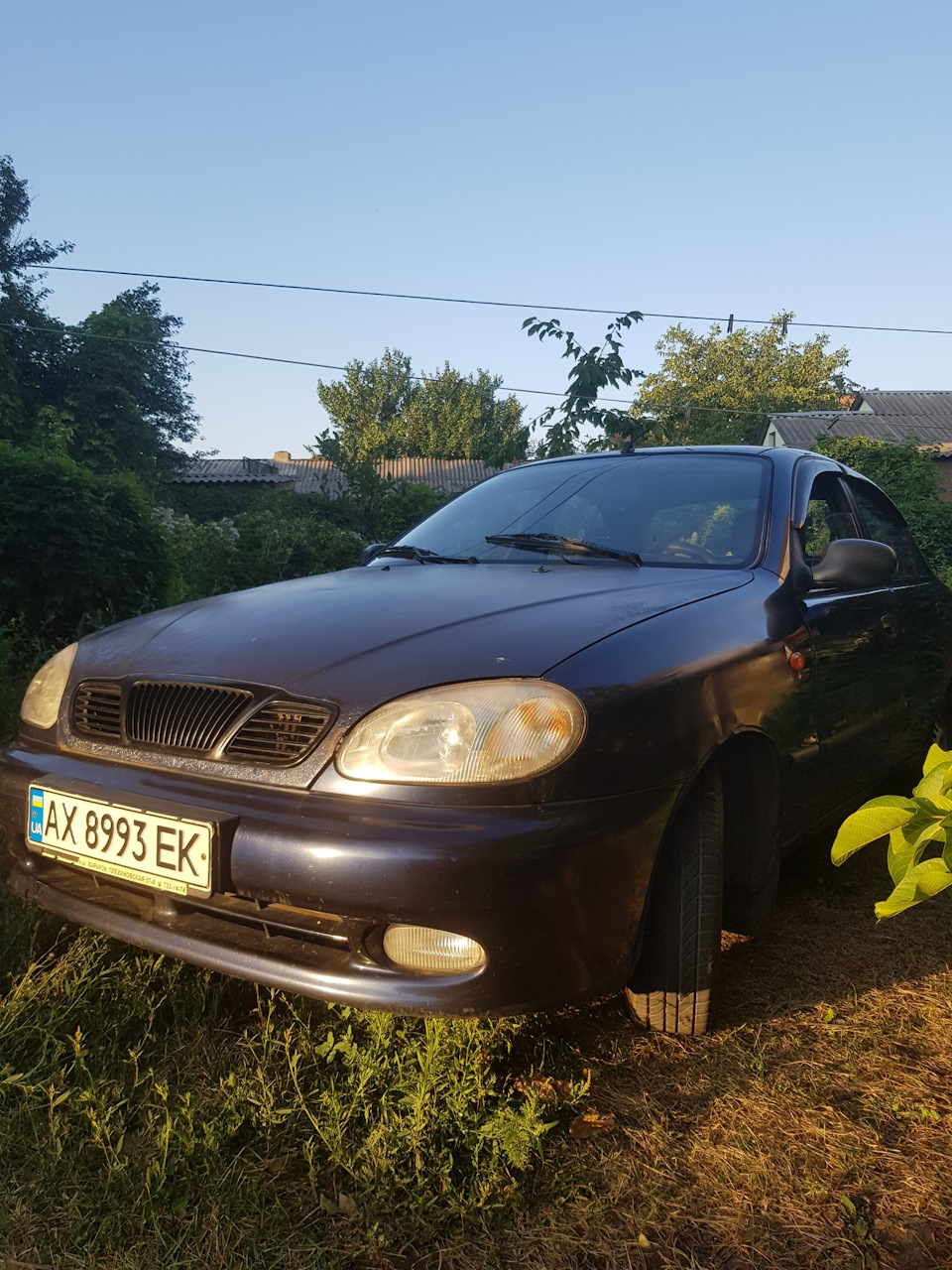 Довгоочікуваний вихідний 1