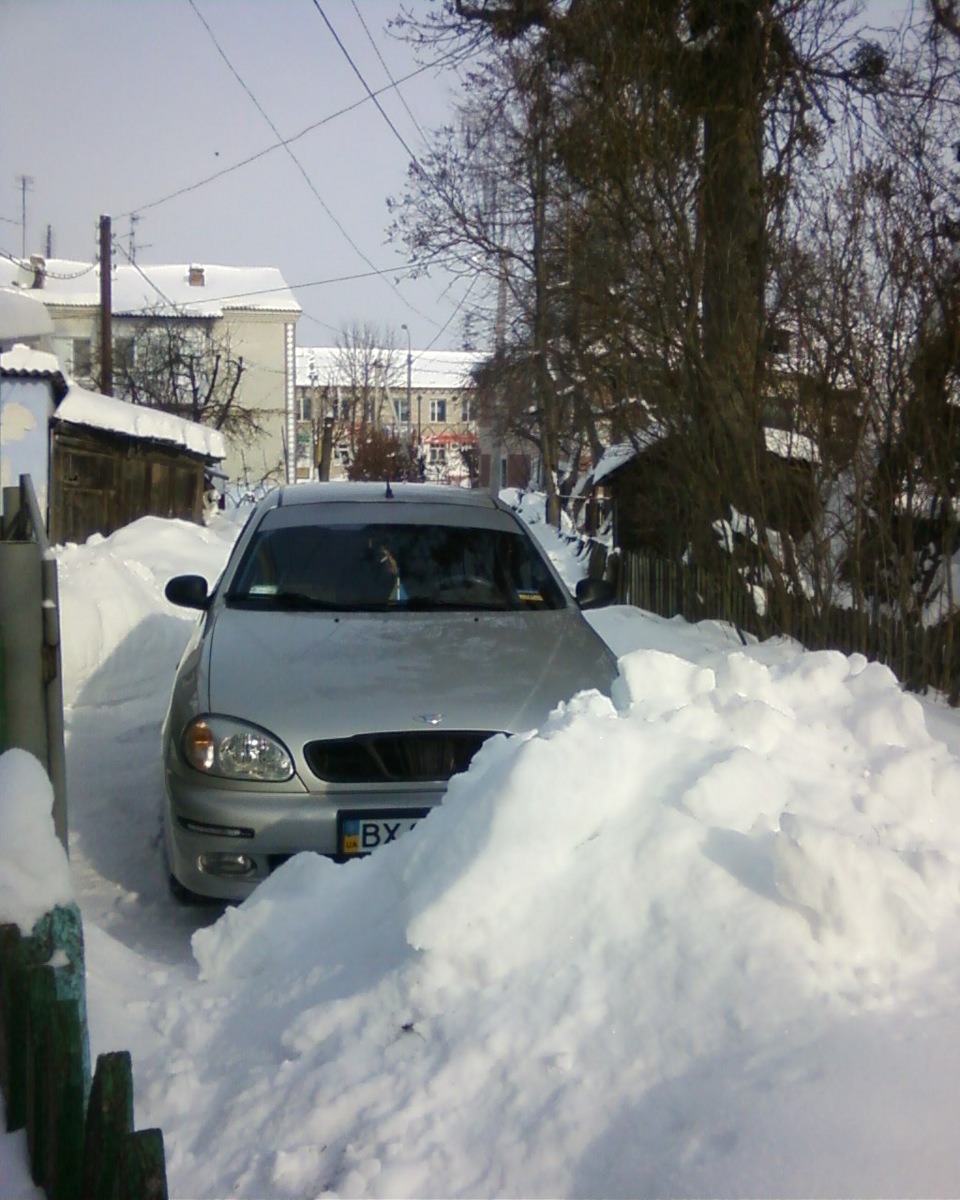Зима 12.02.2012 4