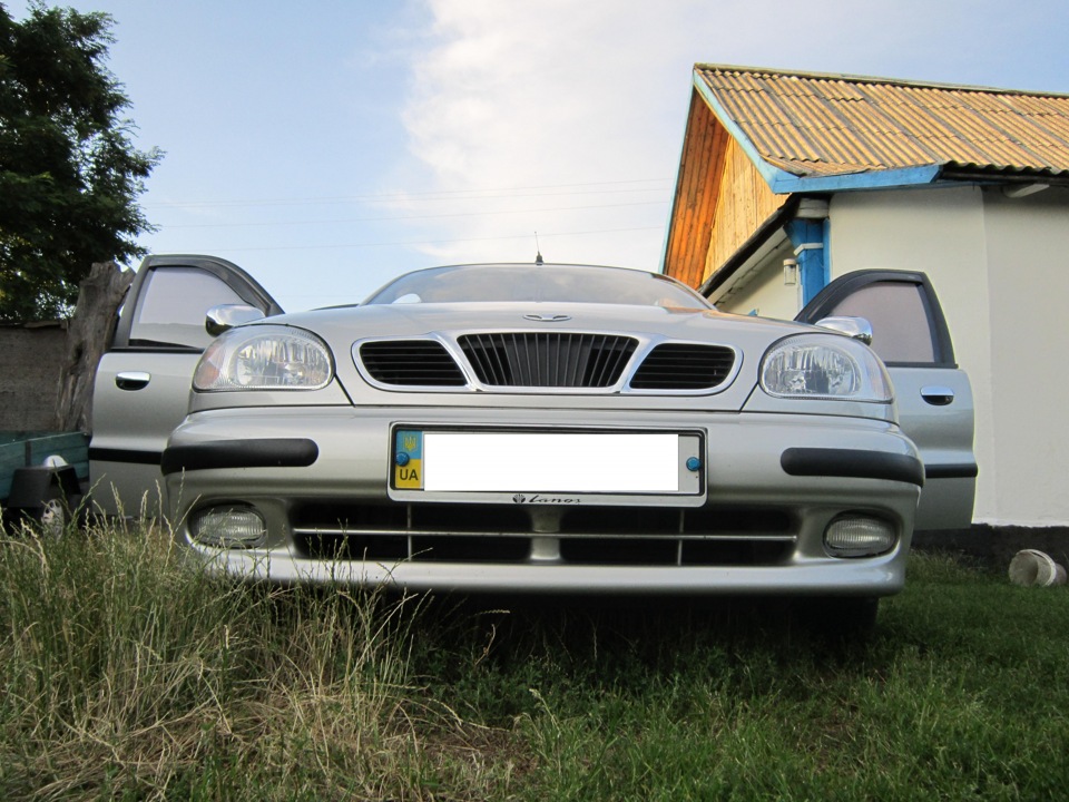 Фото мишки 5