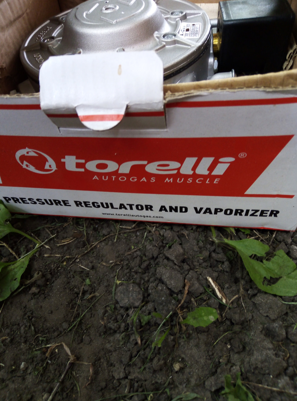 Томасетто 1