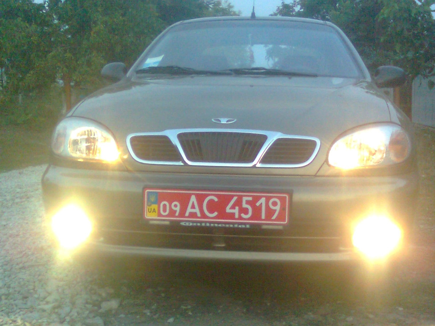 Запис, 29 грудня 2010 року 2