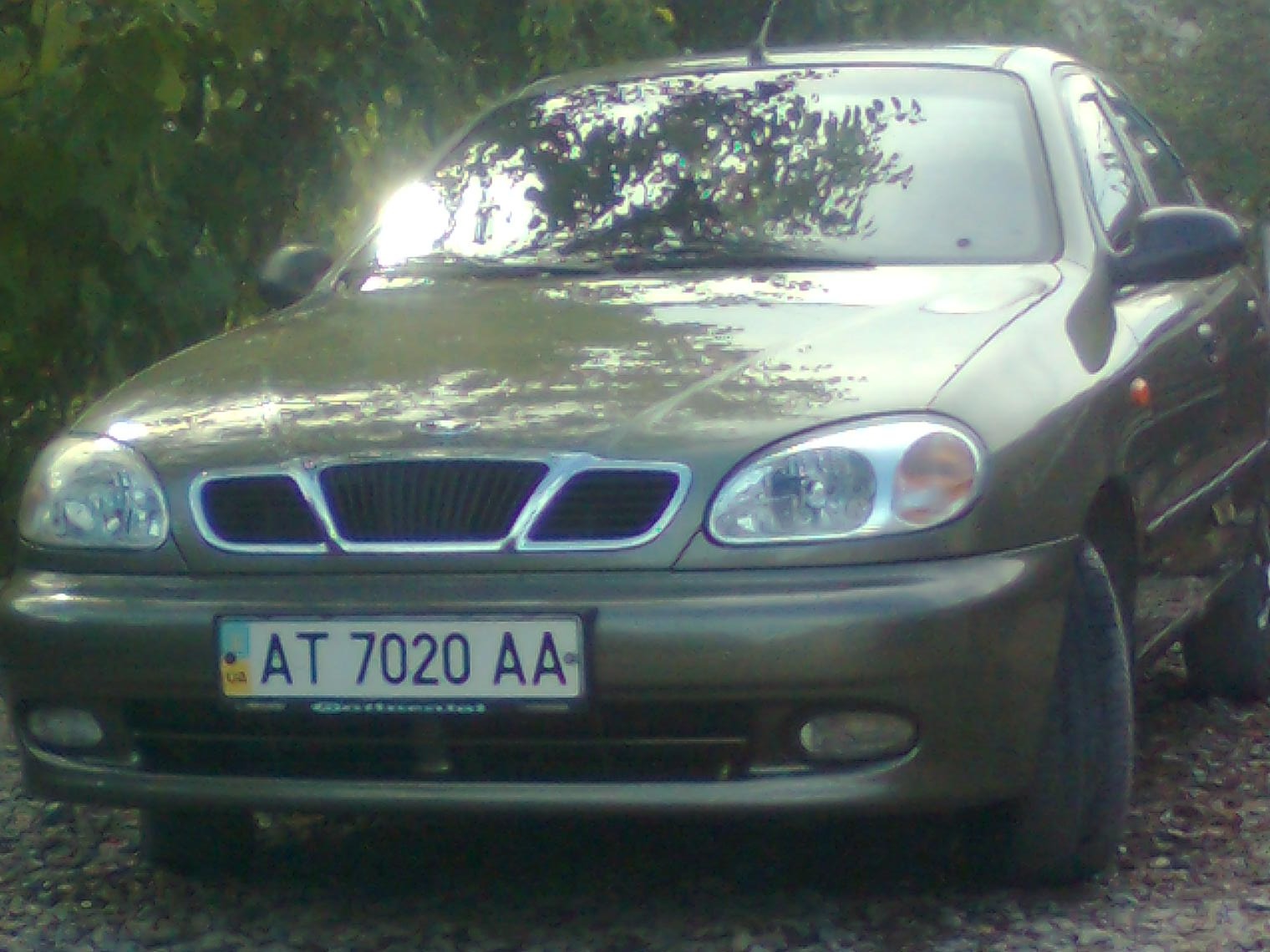 Запис, 29 грудня 2010 року 1