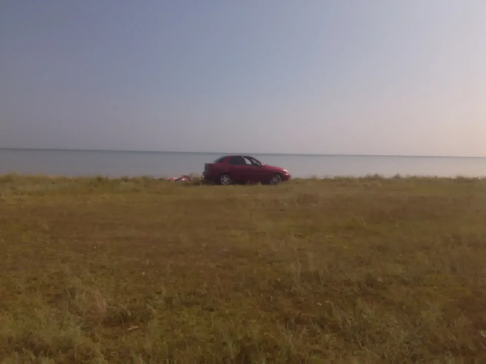море 2016