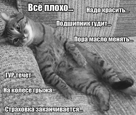 Нам 15 років і 162 тисячі. Бабуся приїхала! Підвіска 👹Ц. алярм, йду грабувати аптеку 1