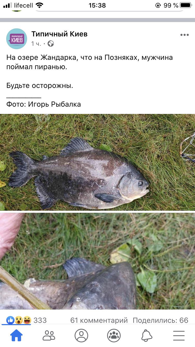 Опана! 3