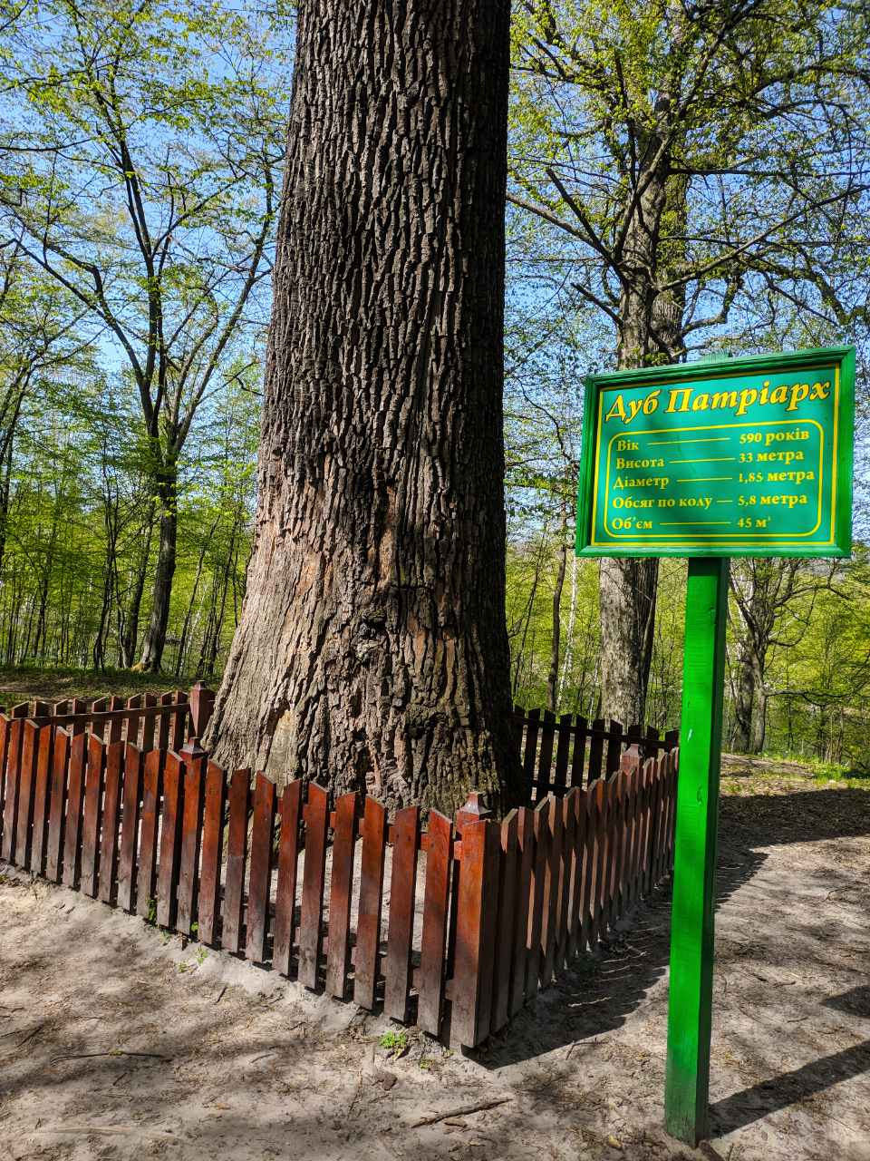 Поїздка на Батьківщину. 2
