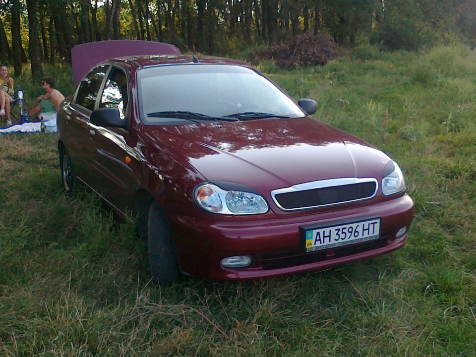Пару фоточес з природи) 2