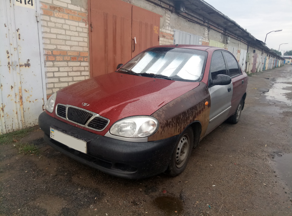 Червоний став прекрасний. Сенс, ти це?! 1