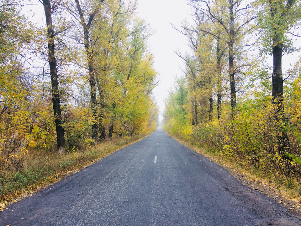 Не перевзувся. 1