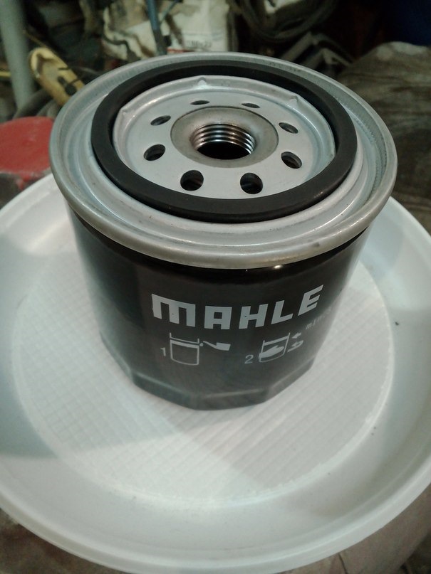 Як сир в маслі... 5