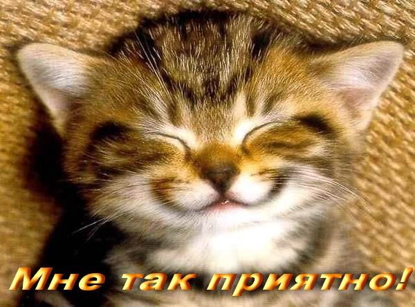 Ура! За 500 перевалило) 3
