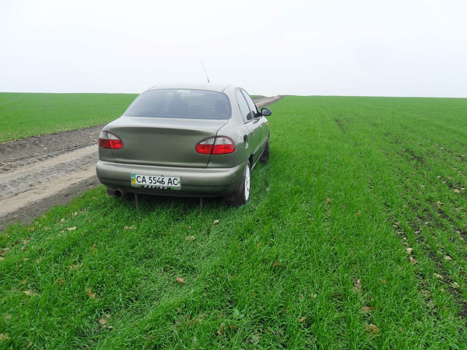 взяв фотик і помчала ... 1