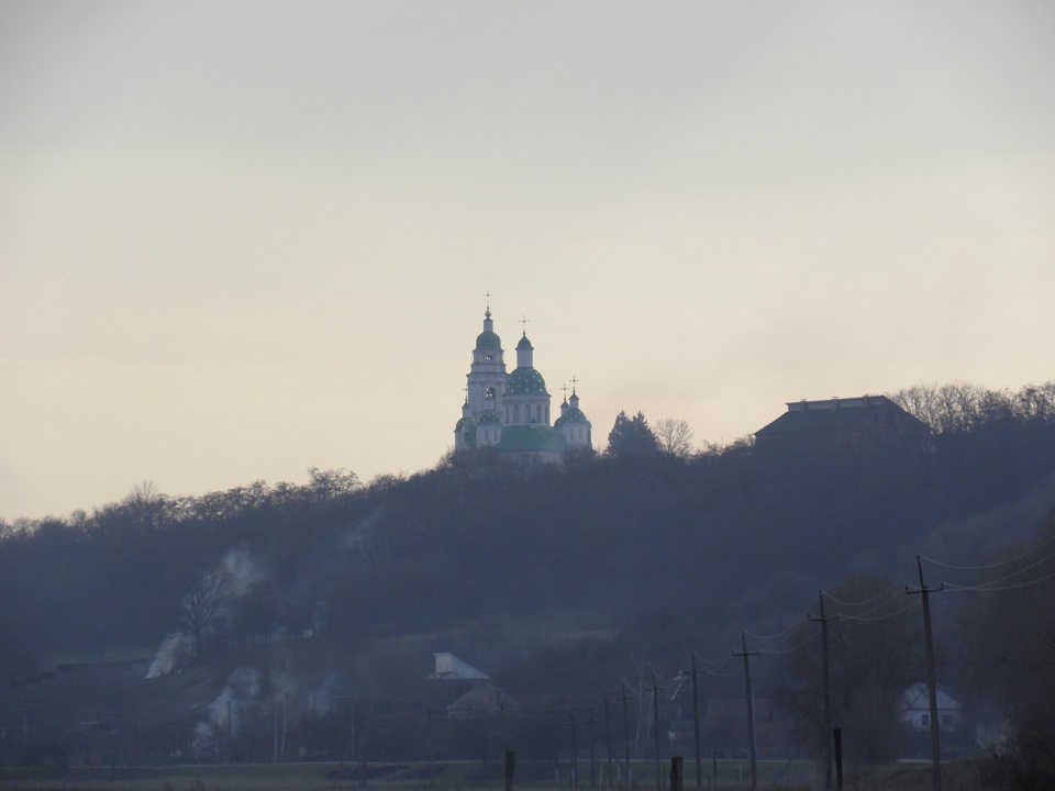 Фото на природі 5