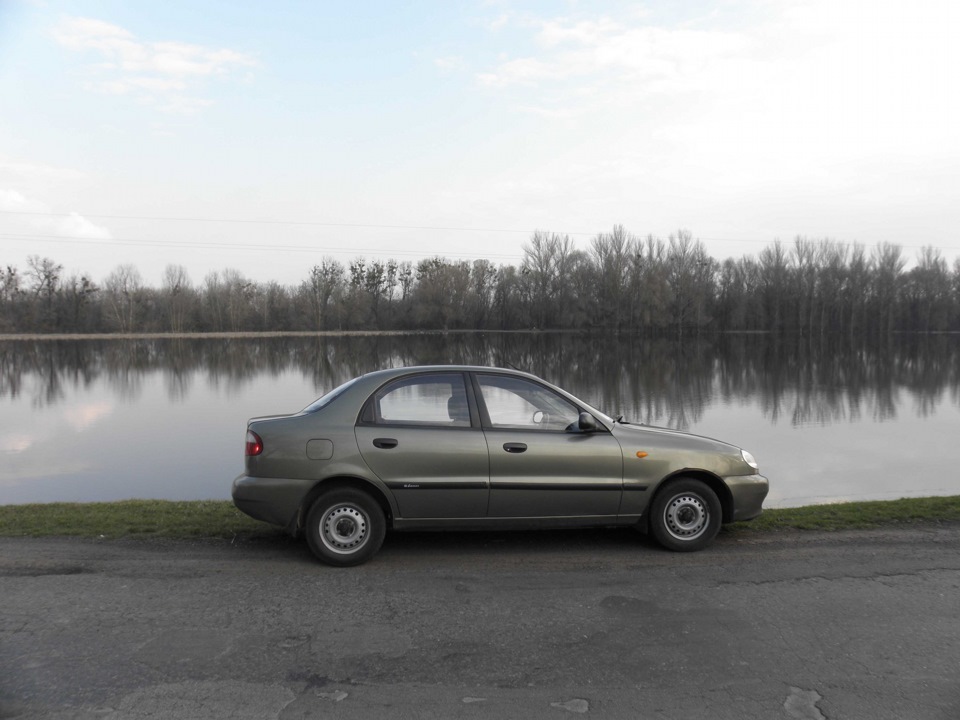 Фото на природі 2