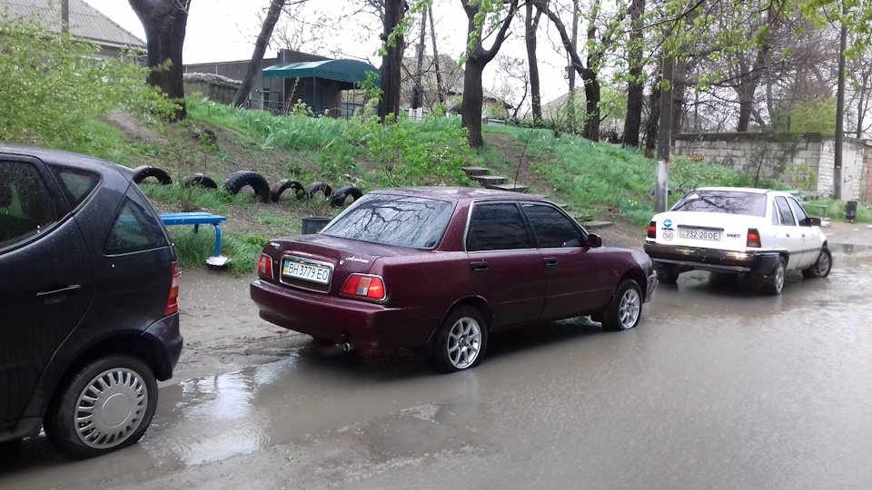Свіжі фотки... 3